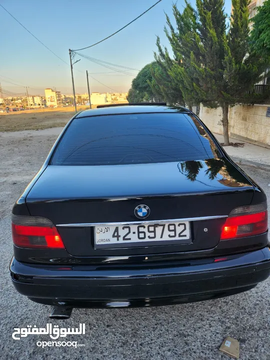 BMW E39 الدب