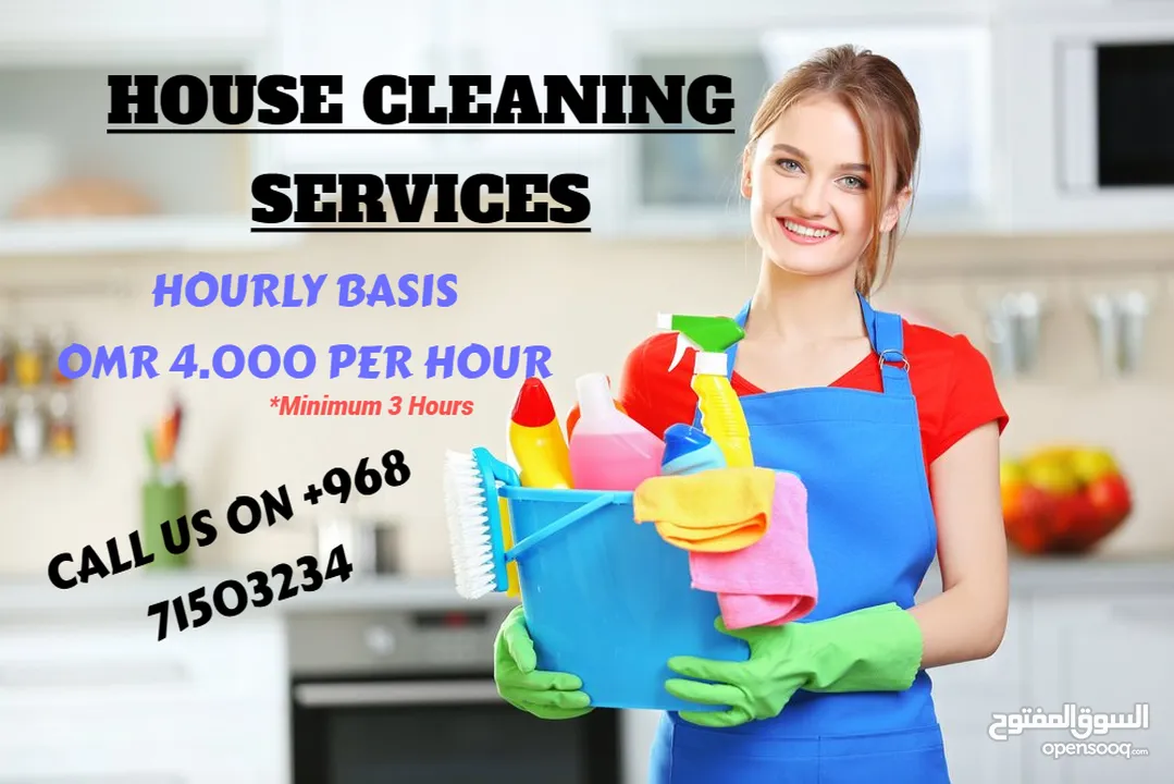 House/ Villa or Flat Cleaning Services