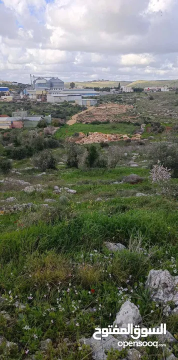 800متر طابوا فلسطنيني في ارقى منطقة بالكفريات