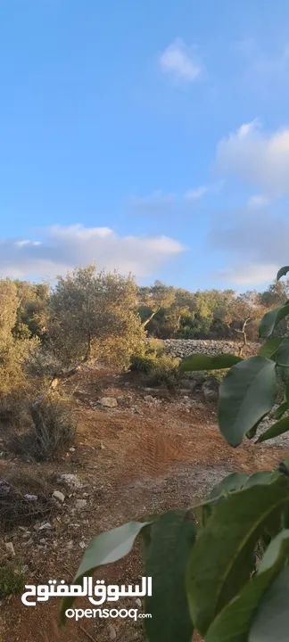 بيت مستقل مع ارض  للبيع بسسب السفر