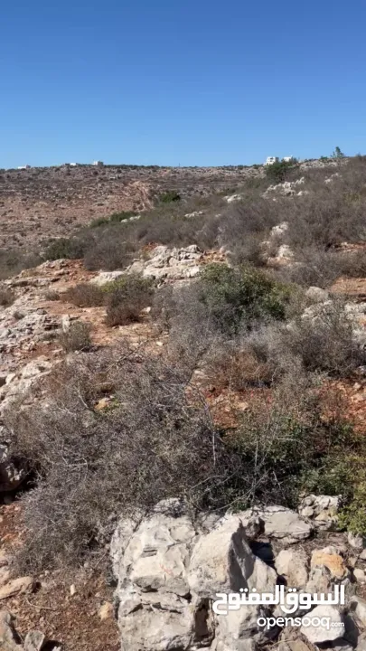 أراضي بمساحات متنوعه للبيع تصنيف A طابو فلسطيني