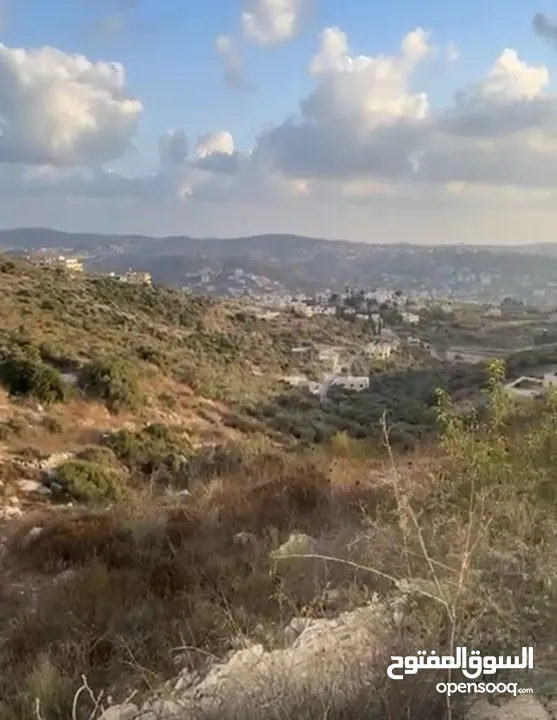 بسبب ظروف السفر وترك المنطقة، بدي أبيع الأرض.