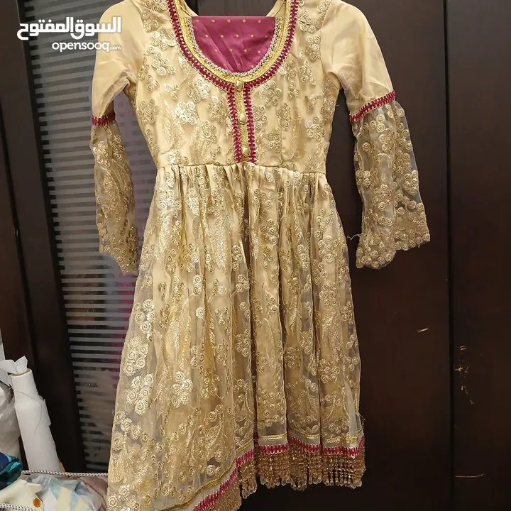 Pakistani fancy dresses for eid or events