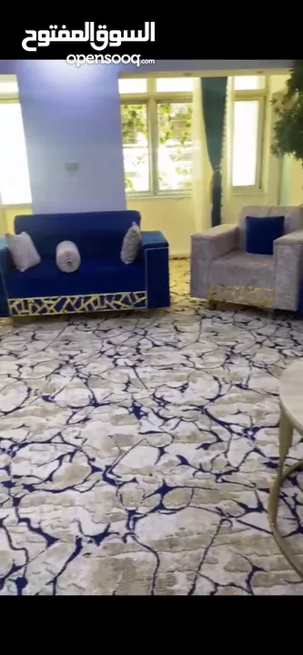 طقمين كنب وبرادي وسجاد وطاولات