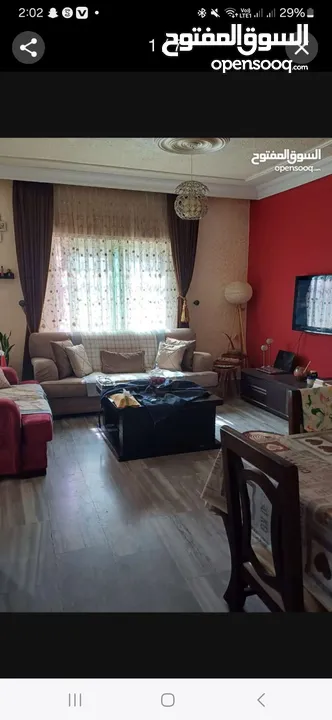 شريك سكن في شقة مفروشة