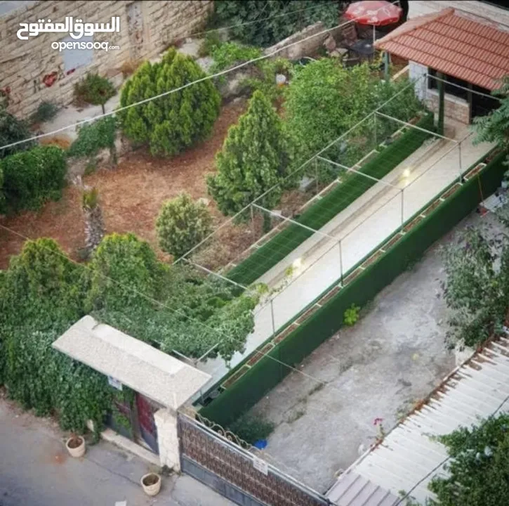 سكن صبايا في وسط البلد