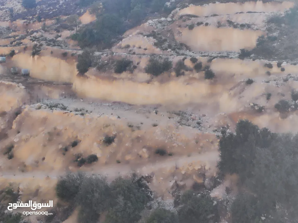 ارض للبيع 1000 متر طابو ابو نجيم