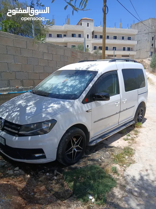كادي لابيع 2018
