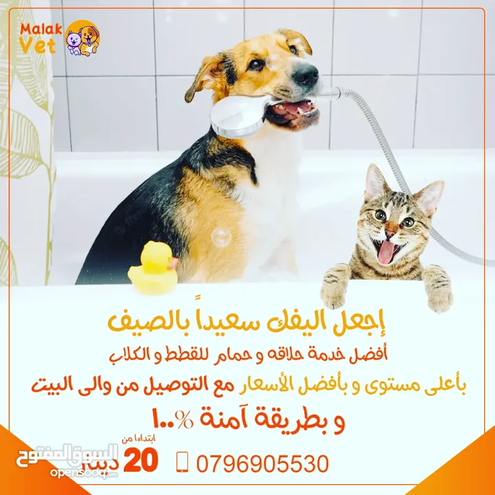 خدمات بيطرية متكاملة للحيوانات الاليفة