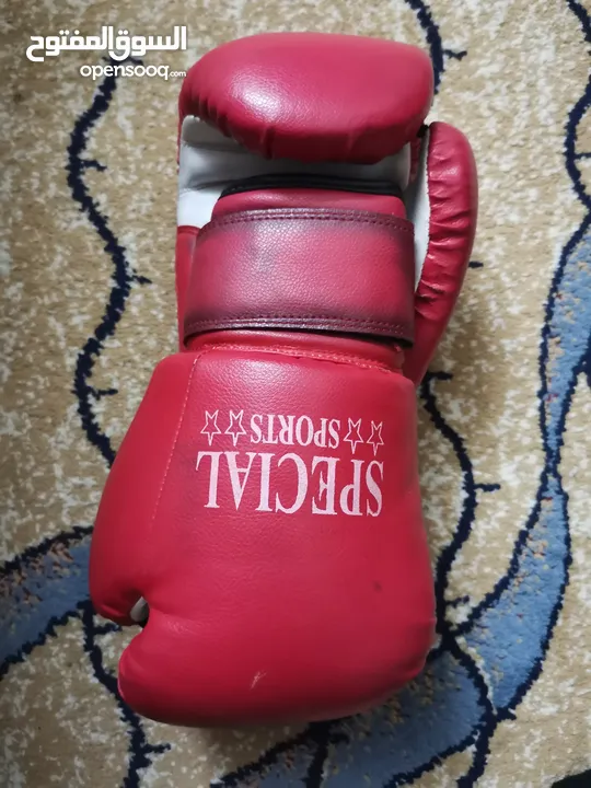 قلفزات Boxing للبيع