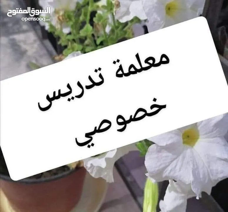 معلمة لغة إنجليزية خبرة 10 سنوات في المدارس الحكومية والخاصة والمراكز ...... الحجز مسبقا