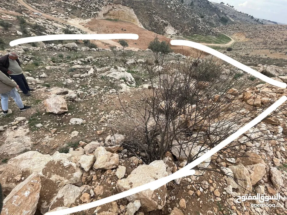 ارض بسعر مغري