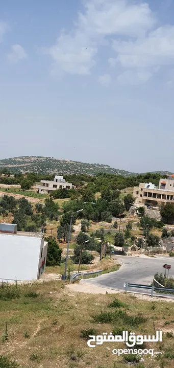 ارض للبيع في عجلون بجانب قلعه الربض