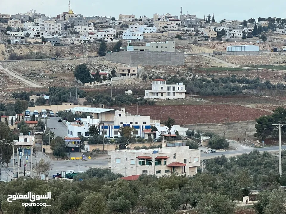 ارض للبيع سكنيه بجانب ترخيص جرش منبسطة مثل الكف بجانب فلل حديثه مساحة 800m مفروزه