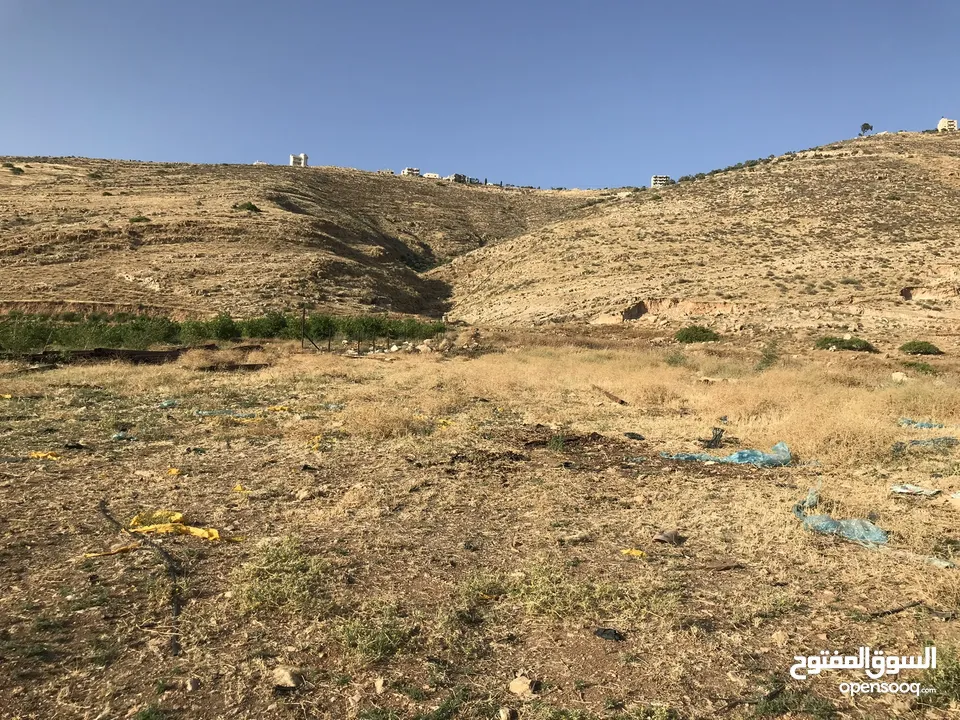 ارض للبيع في النصارية مطلة على جميع الجهات ما بسكر عليها حدا وصحية واصل مياه وكهرباء مع جدار جنوبي
