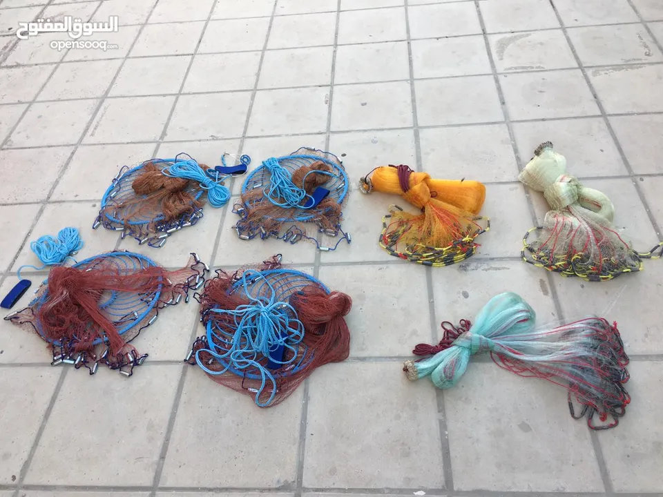 شبكة وسنارة