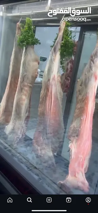 ملحمة للبيع بكامل معداتها لم تعمل سوا شهرين