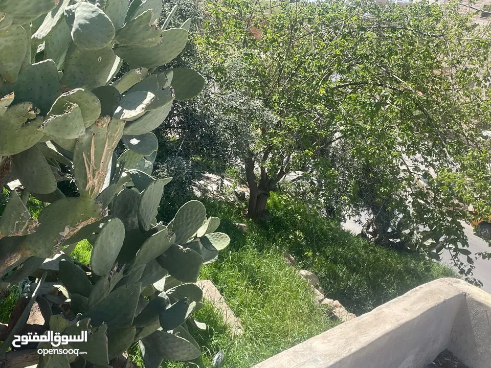 بيت مستقل للبيع ارض (حجه) مش قوشان طبربور مع ارض مساحه 745