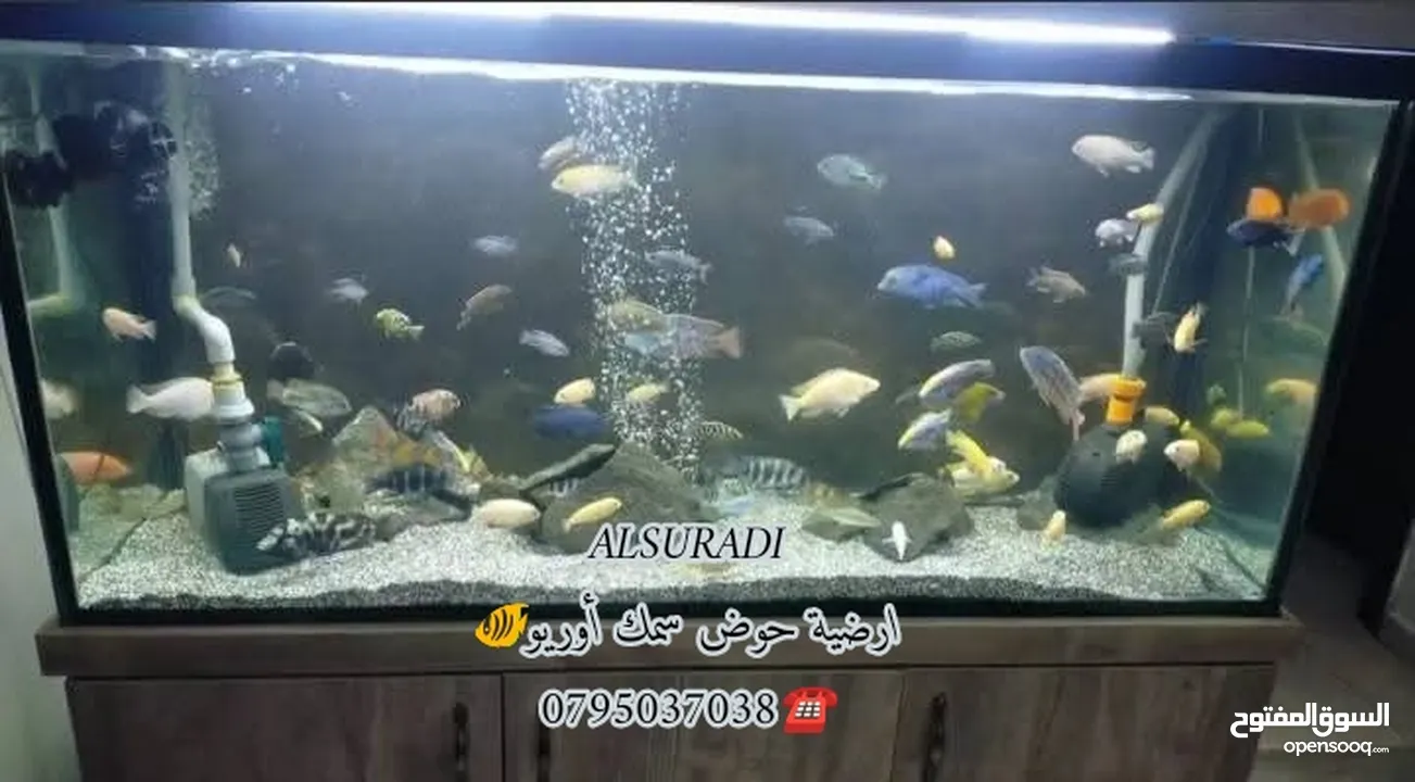 رمل سيلكا  توف بركاني  كوارتز  كسر رخام احجار وصخور مميزه سكيب احواض سمك