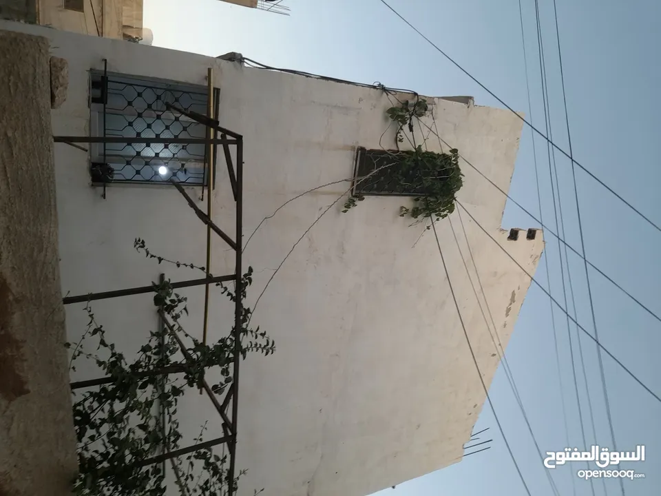 بيت للبيع في الزرقاء الجديده نزلت السيران مقابل أهل العز . فقد ب 39 ألف .