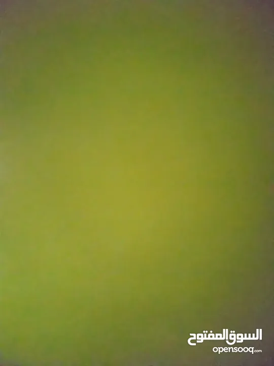 بيت للاجار نابلس العامريه