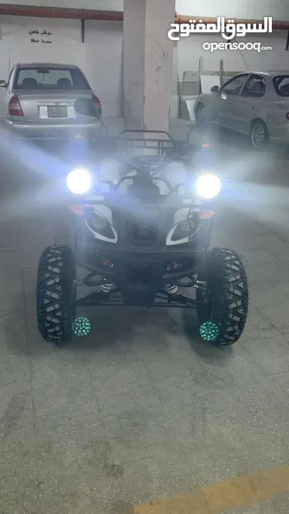 دباب بجي جبلي