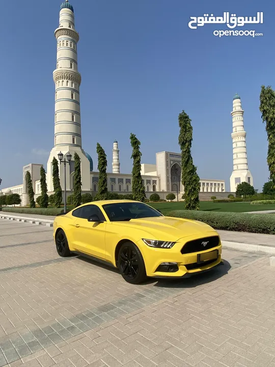 موستانج بهوان بحالة الوكاله mustang Bahwan 2016