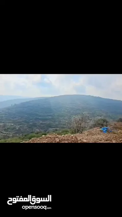 قطعه ارض في عطاره