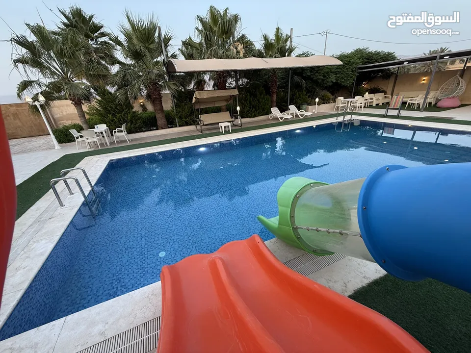 مزرعة نخيل مجهول مثمر ومنتج  + شاليه مودرن للبيع بأجمل مناطق الغور بالقرب من سد الكرامة 60 ك من عمان