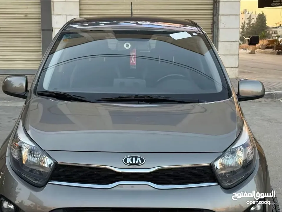 كايا مورنينج