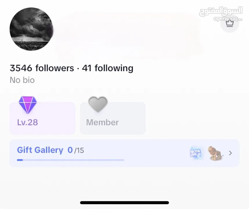 Tiktok account level 28