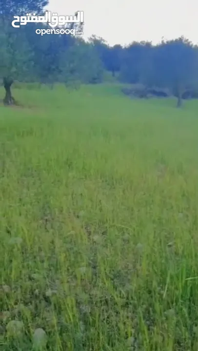 قطعه ارض للبيع من المالك مباشره ذات اطلاله بانوراما خلابه مفروزه