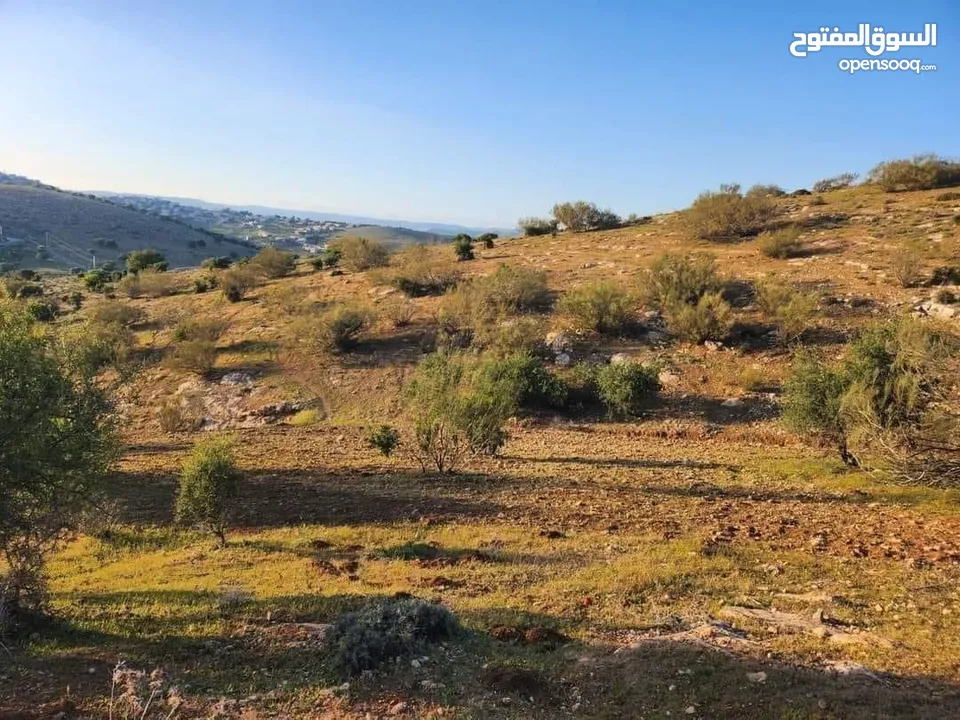 3400م للبيع صروت ابو خشيبة خلف اسكان الداود بالقرب من شارع بيرين الرائيسي