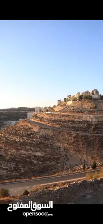 الوسيط ضياء