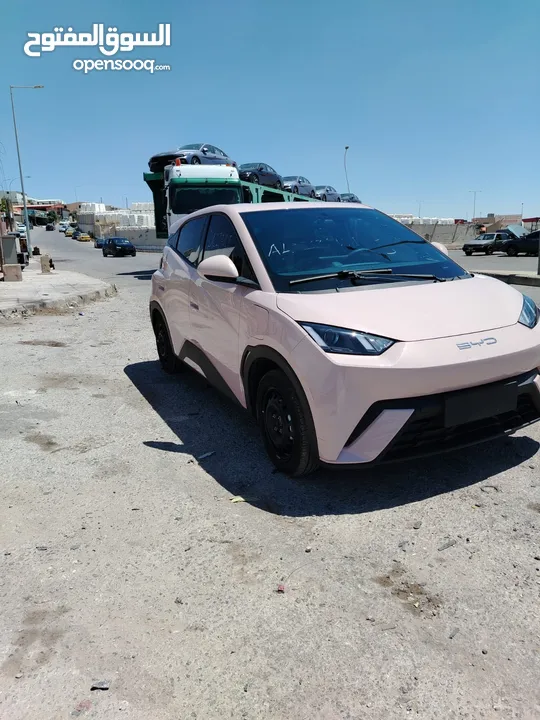 بي واي دي سيجيل 2023 بطارية 305