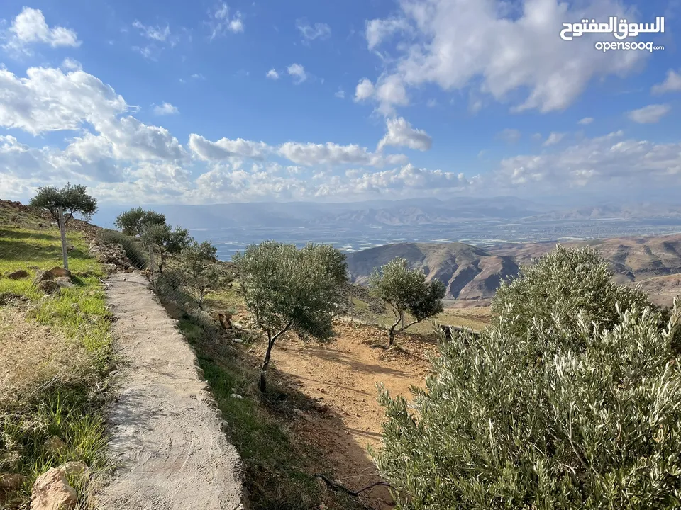 ارض مزرعة للبيع في مغاريب السلط من المالك مباشرة