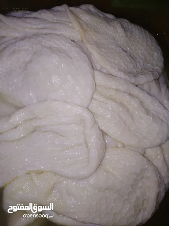 طعام تواصي بيتي