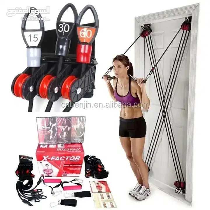 X-factor Door Gym