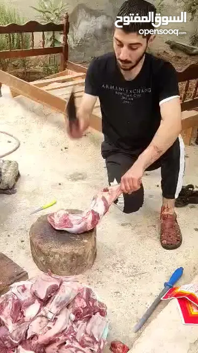 خدمه ذبح الأضاحي في المنازل