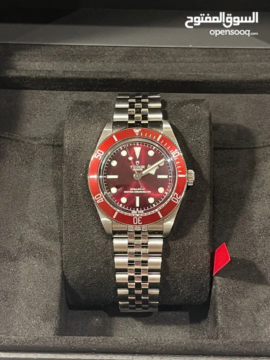 Tudor Black Bay 58 all burgundy