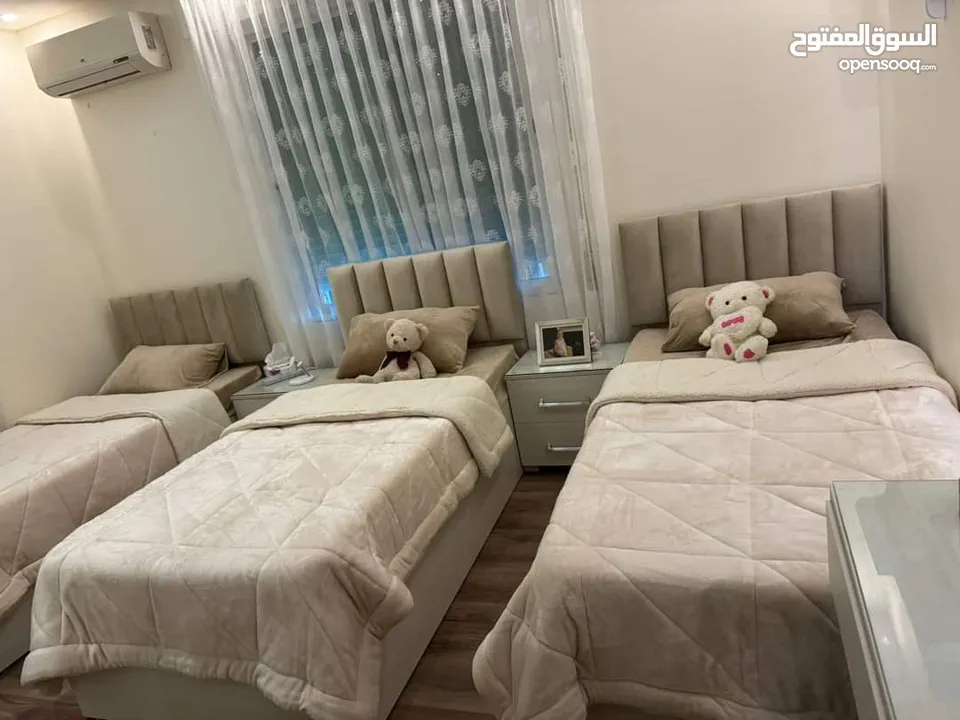 بكسات مجوز ومفرد ونص ومفرد