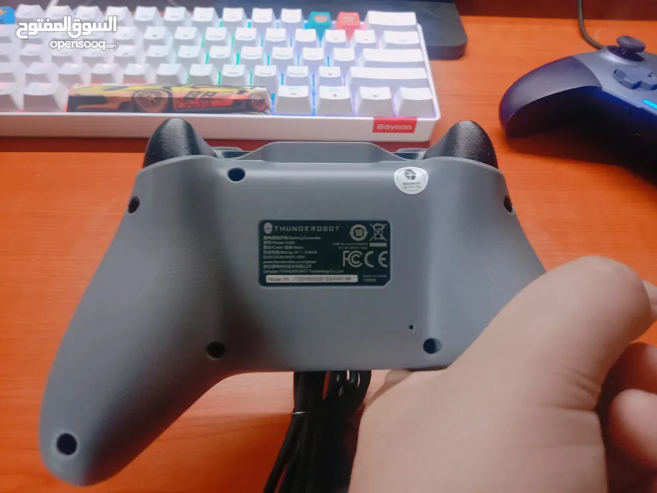 Thunderobot G30S Controller 2022