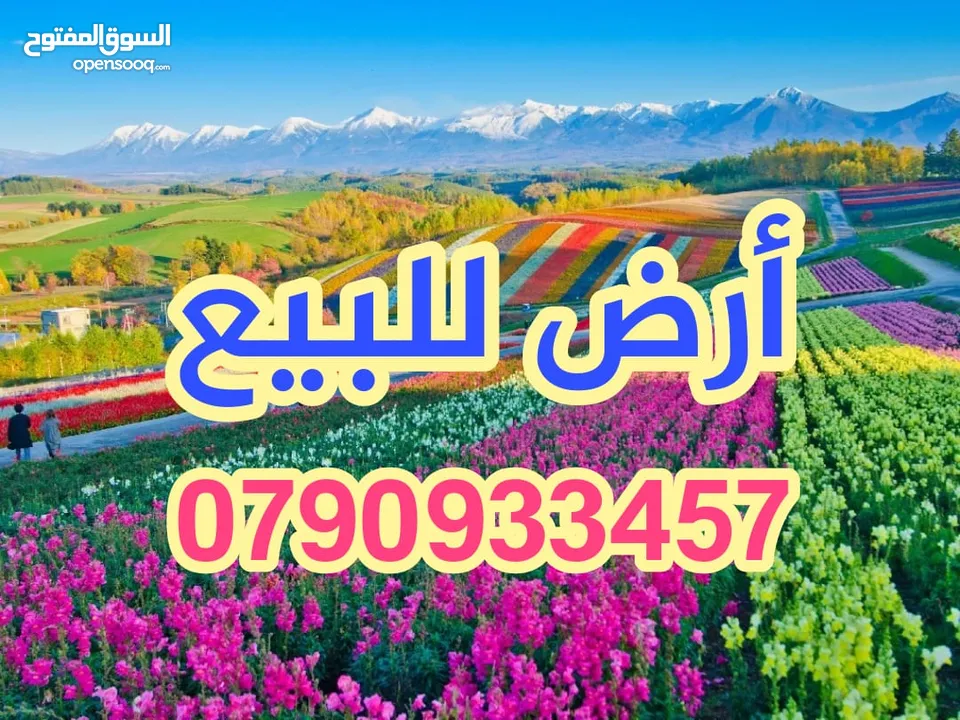 أرض إستثمارية للبيع للسعر الاعلى 1000 م عمان المقابلين بسعر لقطة وحرق