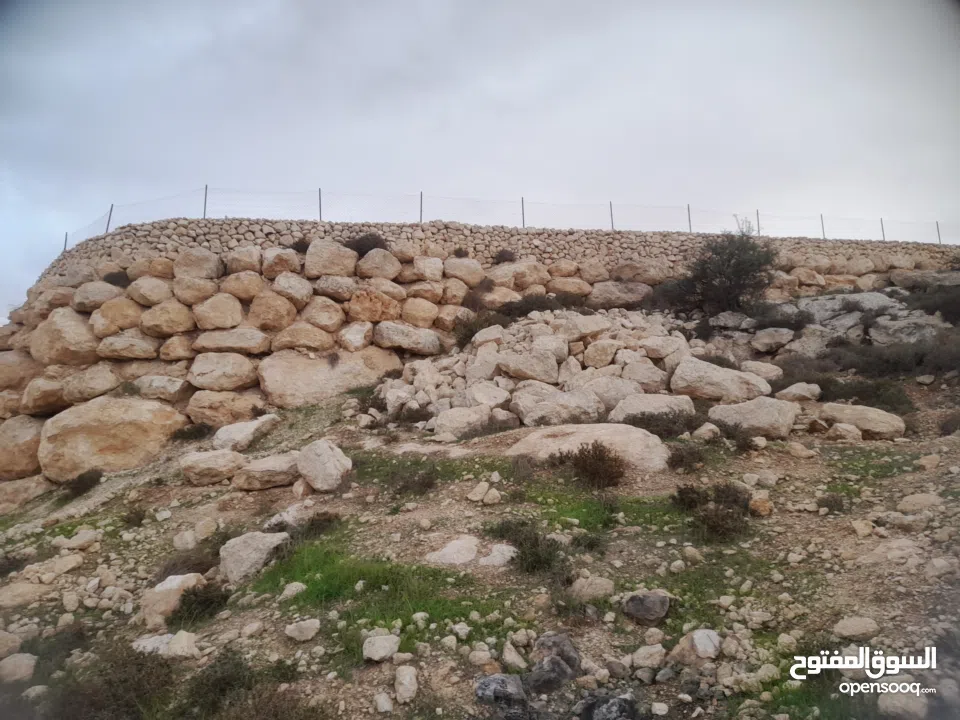 1800 م ارض طابو A الخليل دورا خرسه