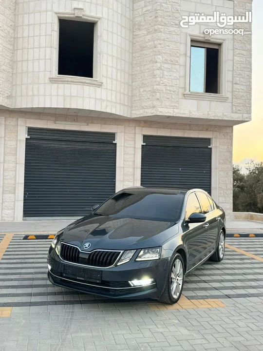 سكودا اوكتافيا ترخيص 19