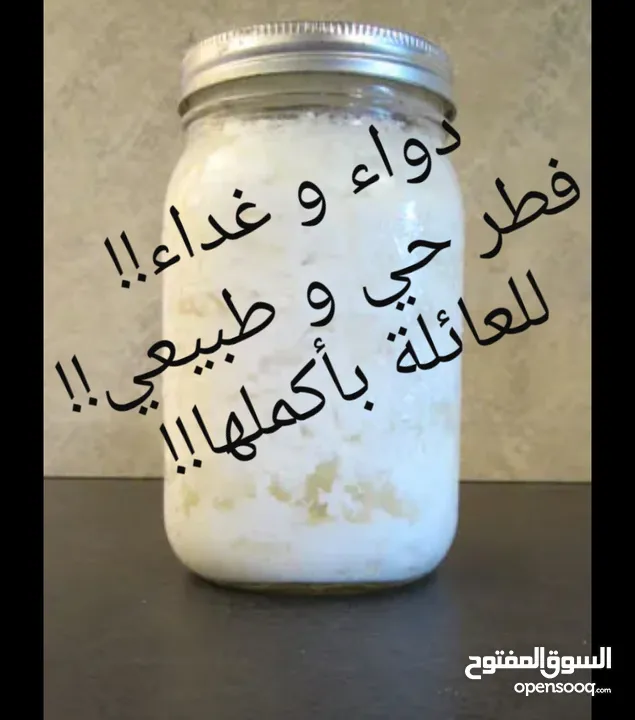 Kefir grains فطر الهندي حي و لبن الكفير بسعر مغري للبيع!