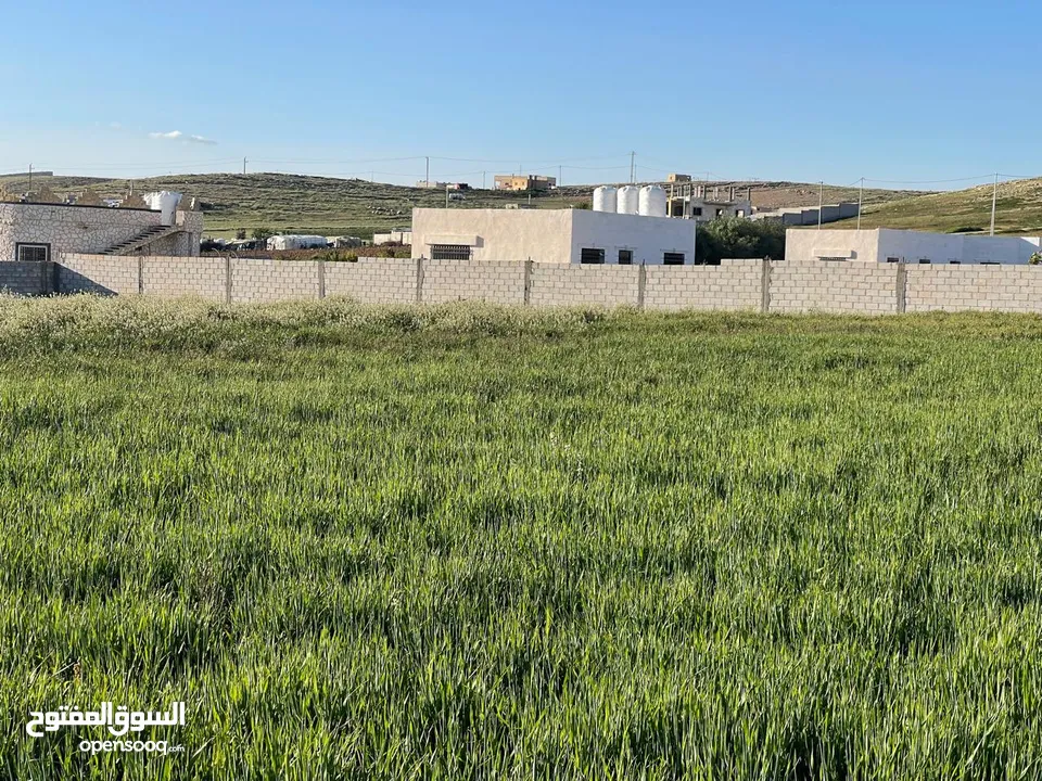 ارض زراعية في بلعما للبيع مساحتها 3500 متر