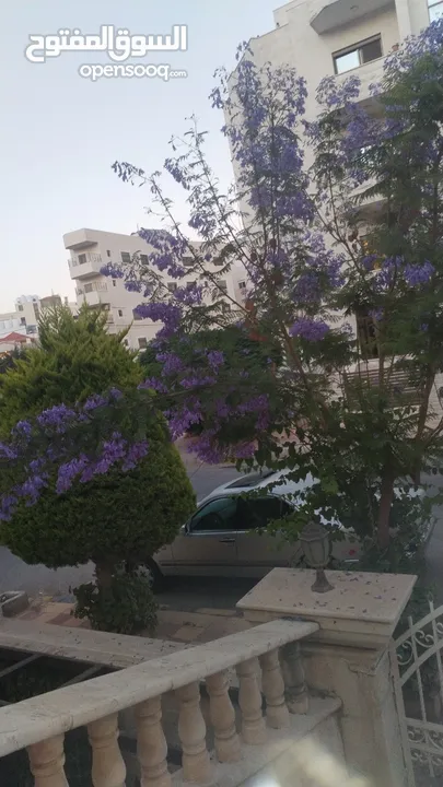 بيت مستقل للبيع