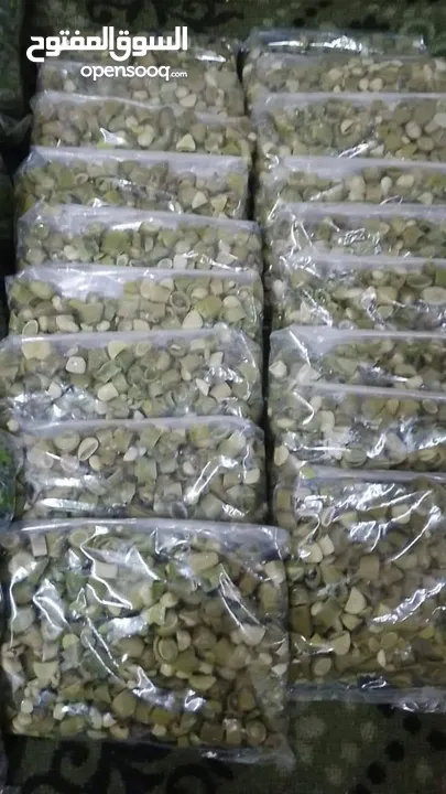 ملوخيه وورق عنب وفول وفاصوليا وسبانخ وخضار فروزن