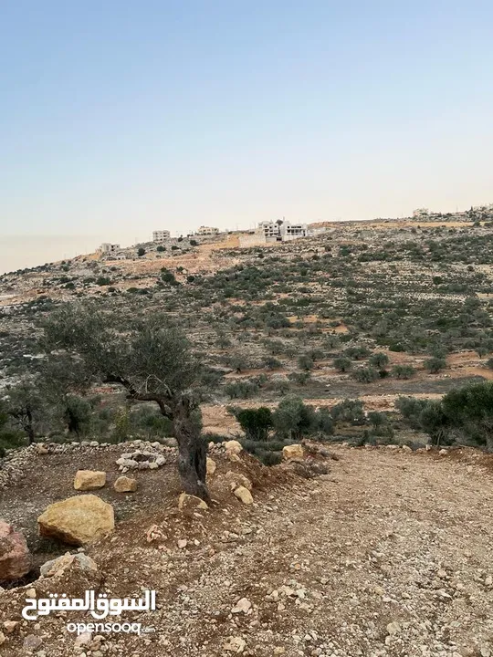 نمرتين للبيع اول كوبر خلف اسكان المعلمين مباشرة